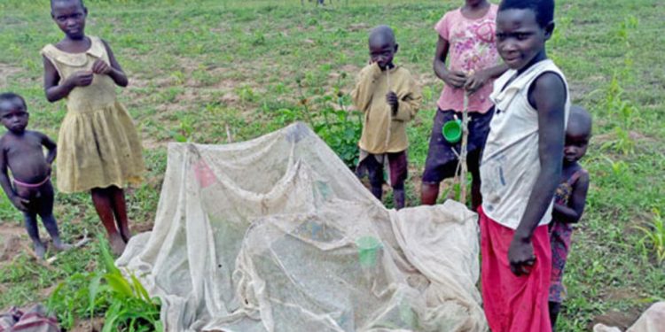 Government Warns Against Selling and Misuse of Mosquito Nets