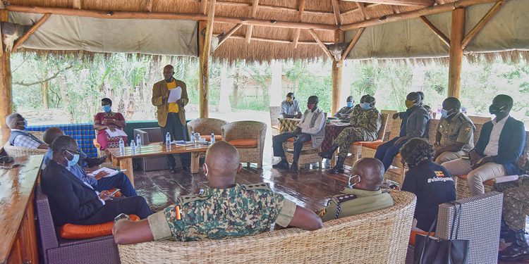 Tourism Ministry, UWA, UTB, Security Move to Protect lions in Queen Elizabeth