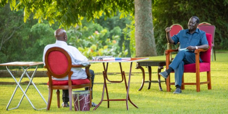 Ruto camp on Tension as Political chess Grandmaster Museveni hosts Odinga