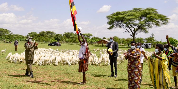 PROVOCATIVE? Karimojong warriors shoot Boda Boda rider Dead near Museveni’s meeting