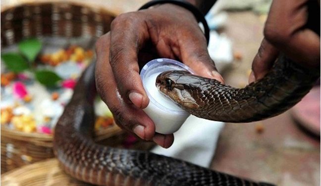 Horrible Confessions: Kampala slay Queens breast Feed snakes, Sleep with Cannibals and Corpses for Money