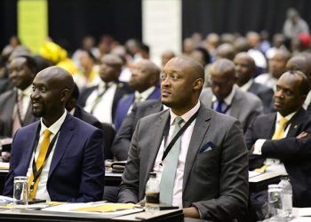 UIA Seals $900m Investment deals during NAM summit 