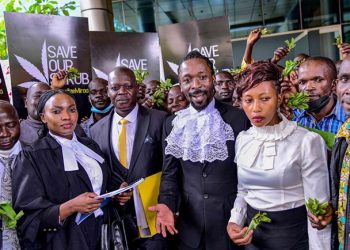 Understanding the Role lawyers Played in Legalization of Medicinal cannabis in Uganda