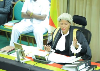 I don’t even have Pussy in UK, says Speaker Among