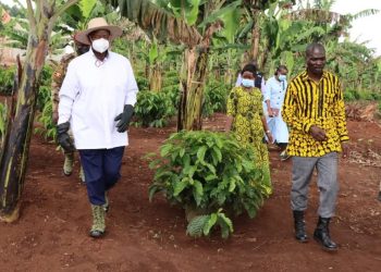 How Museveni skipped Nabbanja’s model Farm during Bunyoro tour