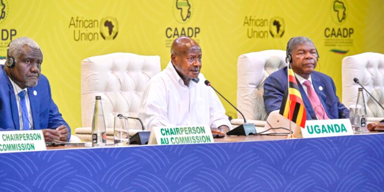 Museveni advocates for Agricultural transformation, Economic integration at AU summit