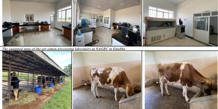 NAGRC unveils Cutting-Edge semen Processing laboratory with Global ambitions