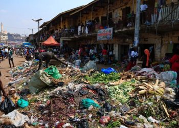 Museveni rebukes new KCCA Leadership over Rotten city “I see Flies everywhere”