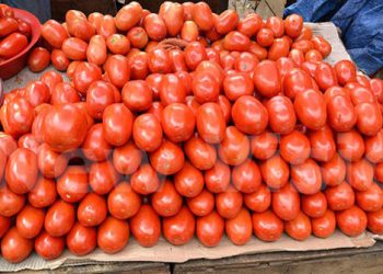 Ministry of Agriculture quiet as Kenyan Tomatoes, Tanzanian Onions flood Uganda’s markets