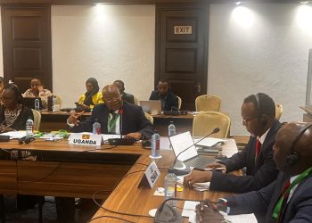 UBOS boss Dr Mukiza urges Stronger data Security at IGAD statistics Meeting 