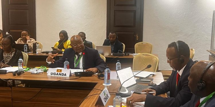 UBOS boss Dr Mukiza urges Stronger data Security at IGAD statistics Meeting 