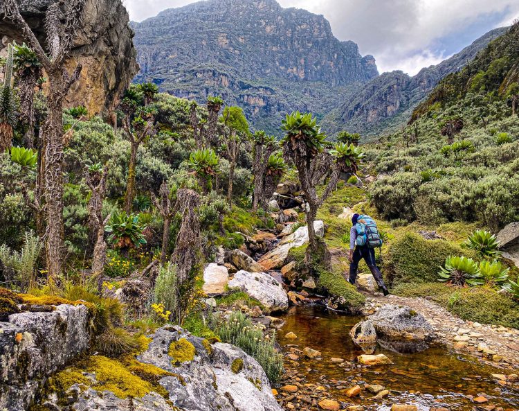 UBOS 2024 Census: Rwenzori Sub-Region shows Strong Water access but Struggles with Poverty and High Fertility 