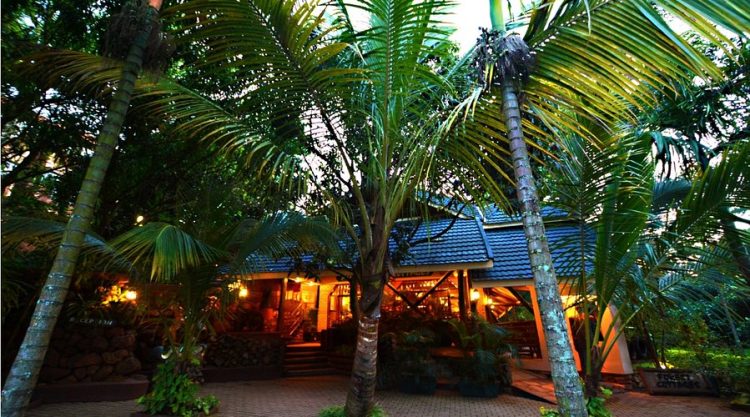 Forest Cottages unveils Dream Wedding packages for Couples Ready to Say ‘I Do’ 